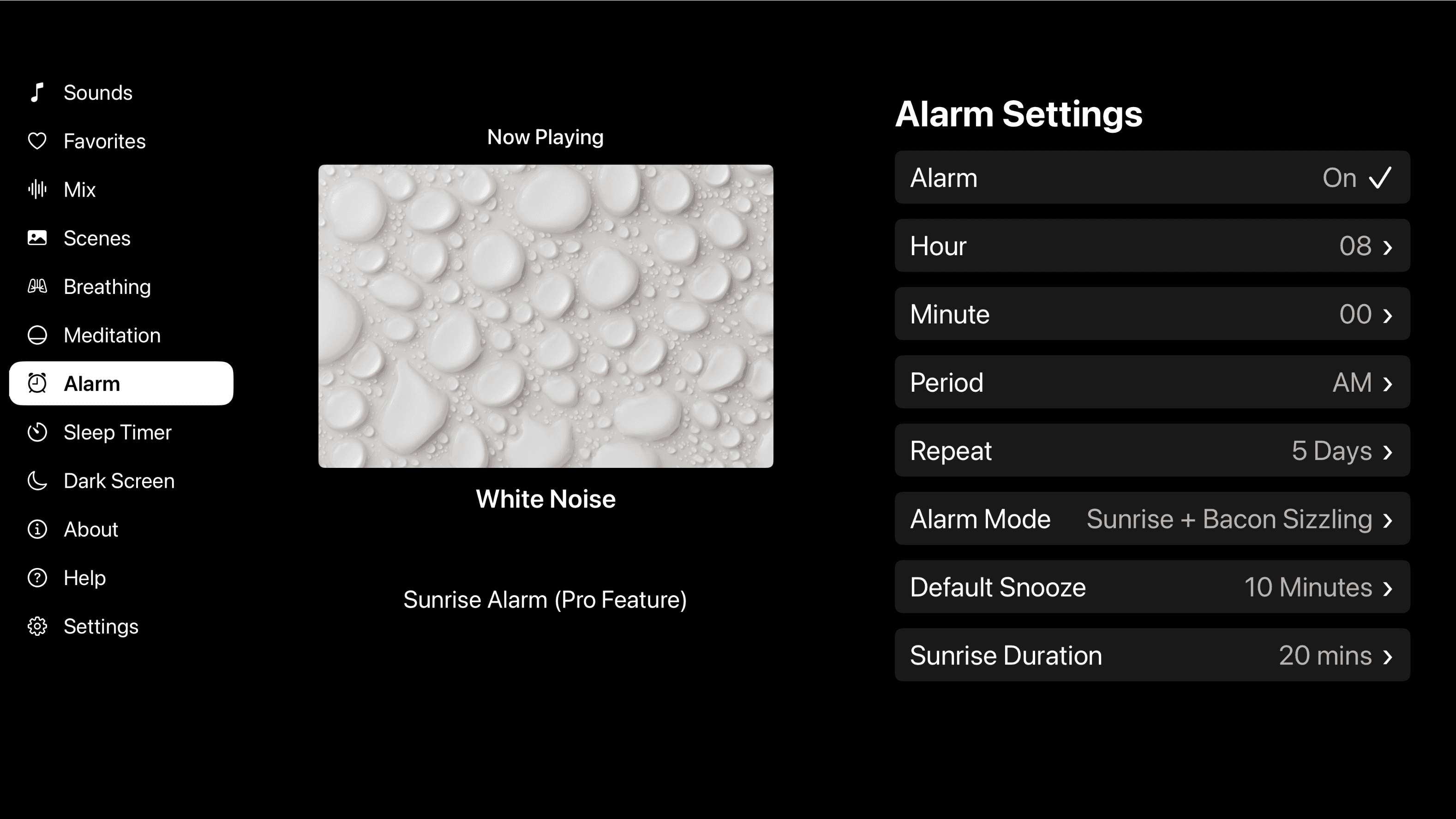 Customizable Alarm Settings