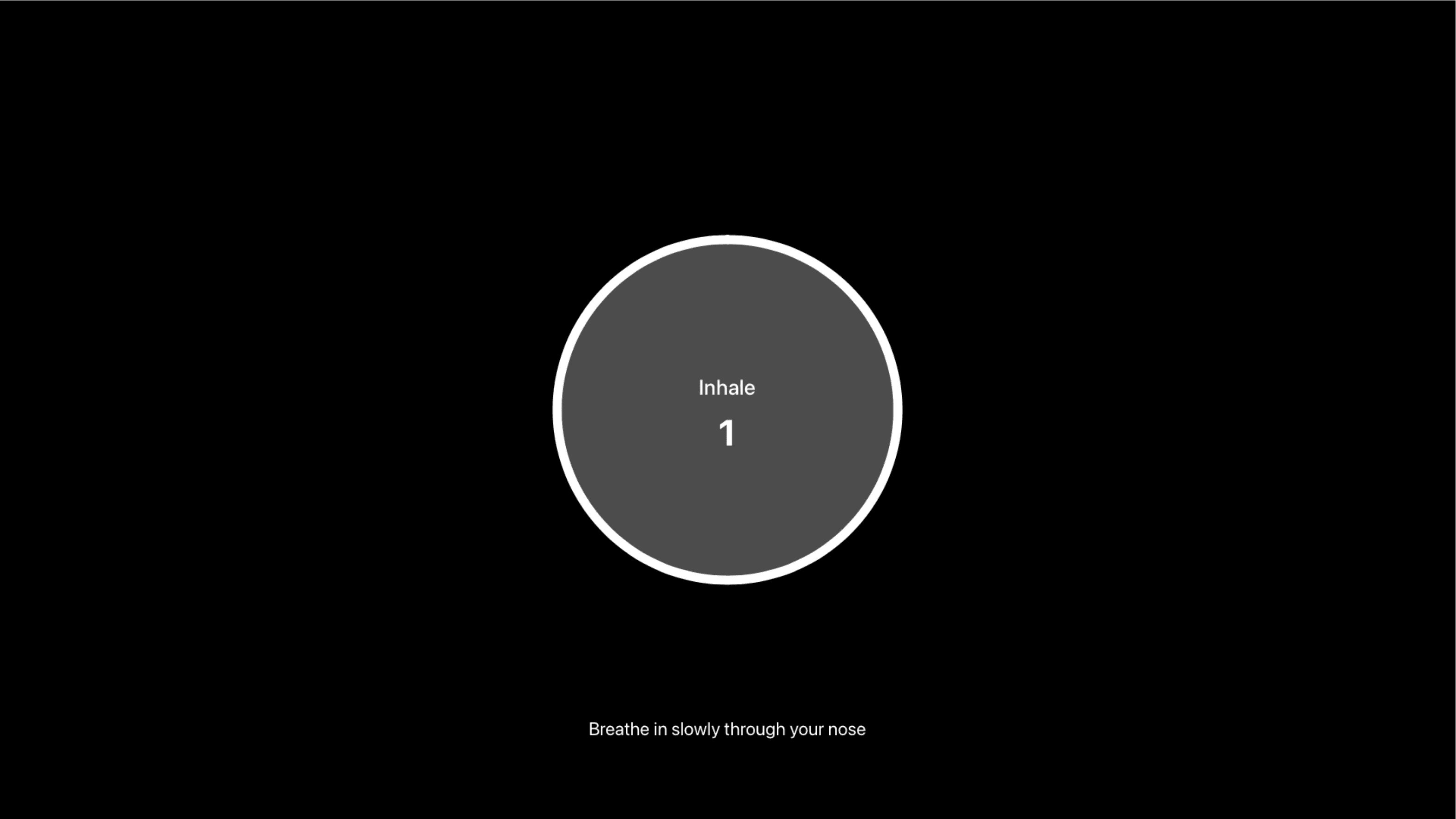 Guided Breathing Exercises